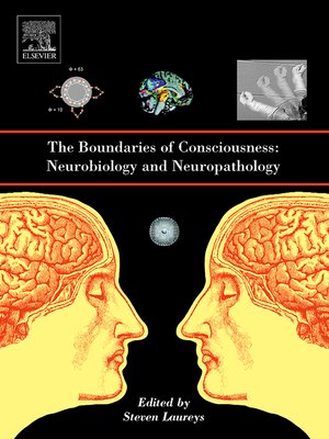 cover image of The Boundaries of Consciousness